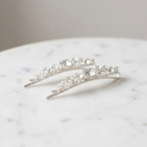 Crystal Hair Clip Duo